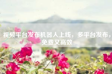 视频平台发布机器人上线，多平台发布，免费又高效