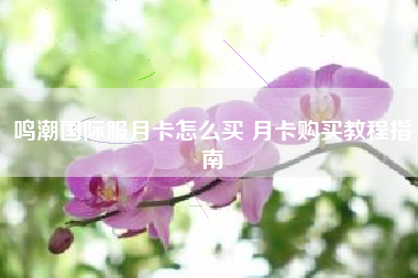 鸣潮国际服月卡怎么买 月卡购买教程指南
