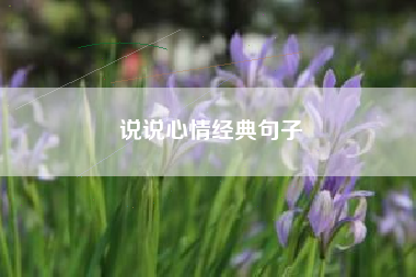 说说心情经典句子