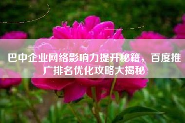 巴中企业网络影响力提升秘籍，百度推广排名优化攻略大揭秘