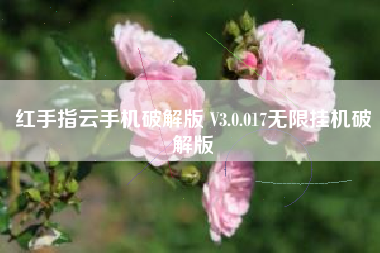 红手指云手机破解版 V3.0.017无限挂机破解版
