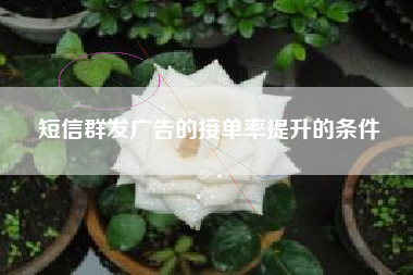 短信群发广告的接单率提升的条件