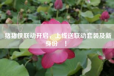 猪猪侠联动开启，上线送联动套装及新身份‪！‬
