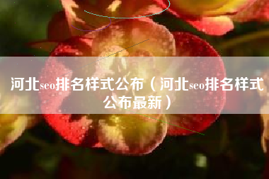 河北seo排名样式公布（河北seo排名样式公布最新）
