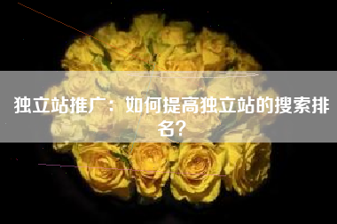 独立站推广：如何提高独立站的搜索排名？