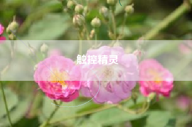 触控精灵