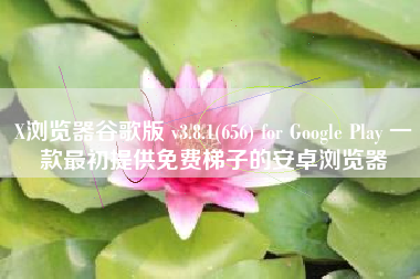 X浏览器谷歌版 v3.8.1(656) for Google Play 一款最初提供免费梯子的安卓浏览器