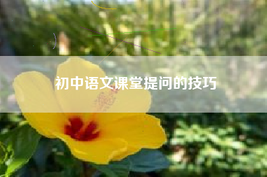 初中语文课堂提问的技巧