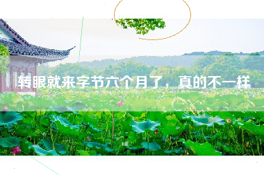 转眼就来字节六个月了，真的不一样