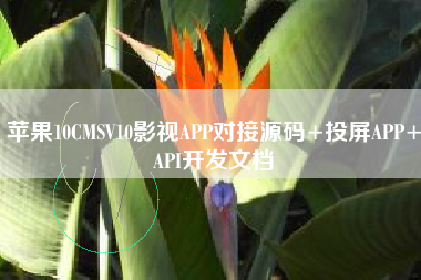 苹果10CMSV10影视APP对接源码+投屏APP+API开发文档