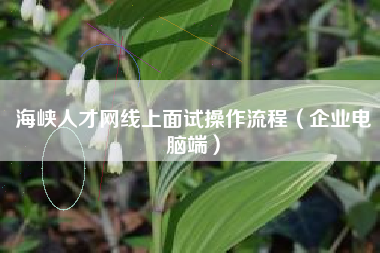海峡人才网线上面试操作流程（企业电脑端）