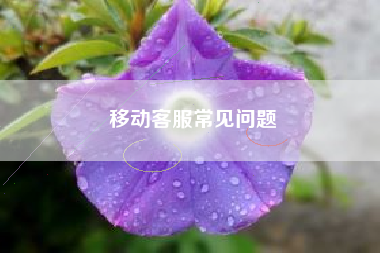 移动客服常见问题