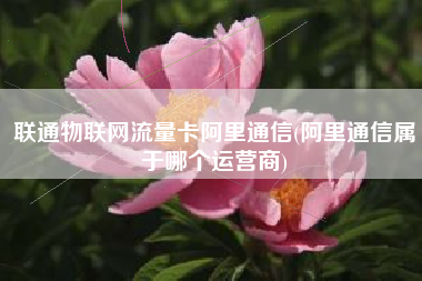 联通物联网流量卡阿里通信(阿里通信属于哪个运营商)