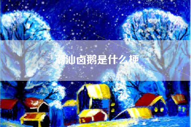 潮汕卤鹅是什么梗