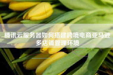 腾讯云服务器如何搭建跨境电商亚马逊多店铺管理环境