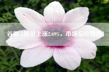 谷歌-A股价上涨2.69%，市场反应热烈！