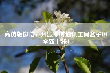 高仿版微信，开源即时通讯工具盒子IM全新上线！