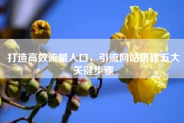 打造高效流量入口，引流网站搭建五大关键步骤