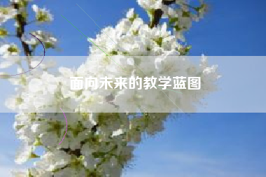 面向未来的教学蓝图 面向未来的教学蓝图