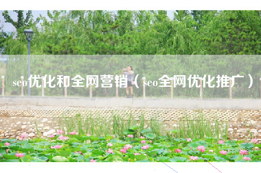 seo优化和全网营销（seo全网优化推广）