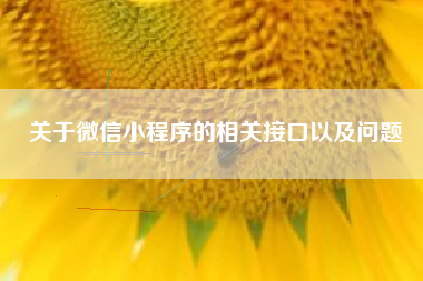 关于微信小程序的相关接口以及问题