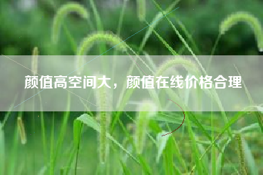 颜值高空间大，颜值在线价格合理