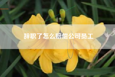 辞职了怎么赔偿公司员工