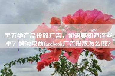 黑五类产品投放广告，你需要知道这些事？跨境电商facebook广告投放怎么做？