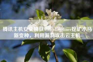 腾讯主机安全捕获WatchBogMiner挖矿木马新变种，利用漏洞攻击云主机