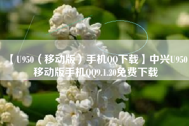 【U950(移动版)手机QQ下载】中兴U950 移动版手机QQ9.1.20免费下载 【U950(移动版)手机QQ下载】中兴U950 移动版手机QQ9.1.20免费下载