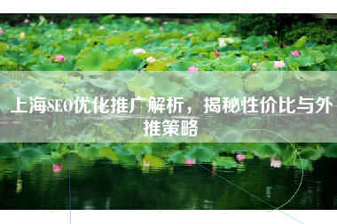 上海SEO优化推广解析，揭秘性价比与外推策略
