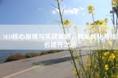 SEO核心原理与实战策略，网站优化与排名提升之道