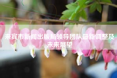 来宾市新闻出版局领导团队最新调整及未来展望