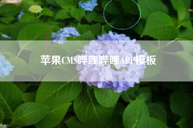 苹果CMS哔哩哔哩APP模板