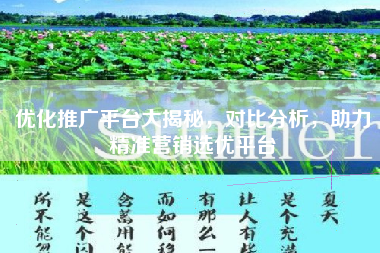 优化推广平台大揭秘，对比分析，助力精准营销选优平台