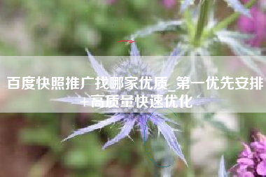 百度快照推广找哪家优质_第一优先安排+高质量快速优化
