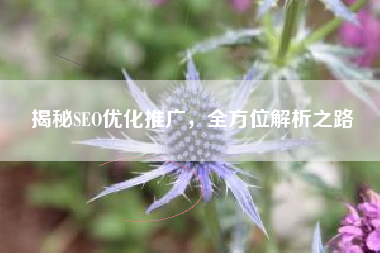 揭秘SEO优化推广，全方位解析之路