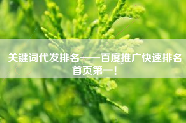 关键词代发排名——百度推广快速排名首页第一！