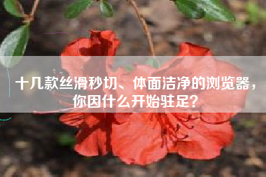 十几款丝滑秒切、体面洁净的浏览器，你因什么开始驻足？