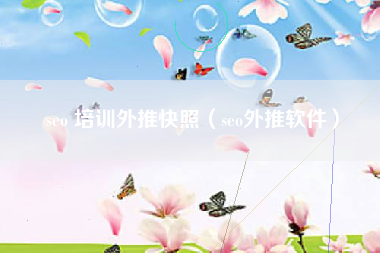 seo 培训外推快照（seo外推软件）