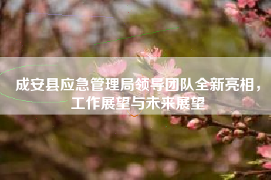 成安县应急管理局领导团队全新亮相，工作展望与未来展望