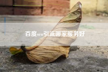 百度seo引流哪家服务好