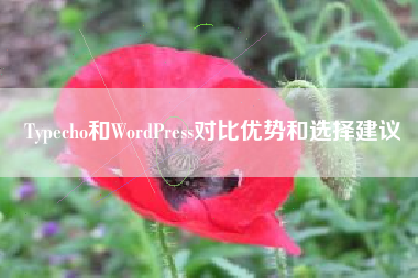 Typecho和WordPress对比优势和选择建议