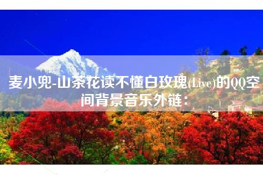 麦小兜-山茶花读不懂白玫瑰(Live)的QQ空间背景音乐外链：