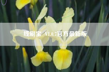线刷宝  V1.0.7官方最新版