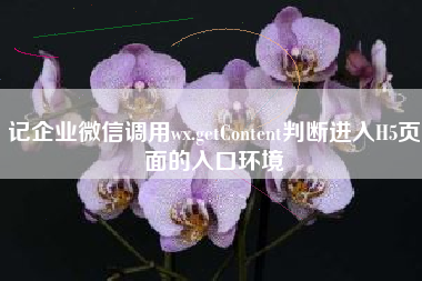 记企业微信调用wx.getContent判断进入H5页面的入口环境