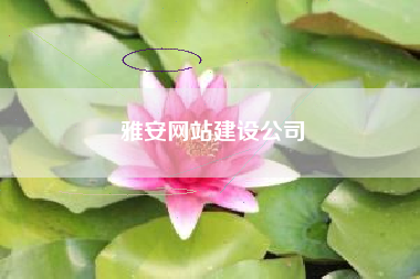 雅安网站建设公司