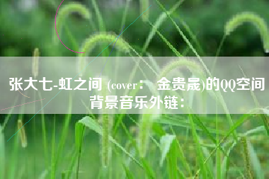 张大七-虹之间 (cover： 金贵晟)的QQ空间背景音乐外链：