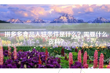 拼多多食品入驻条件是什么？需要什么资料？