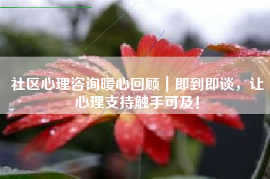 社区心理咨询暖心回顾｜即到即谈，让心理支持触手可及！